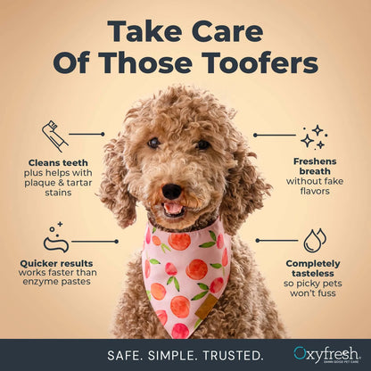 Premium Dog Dental Gel Toothpaste, Best Way to Clean Teeth & Remove Plaque for Dogs, Flavor Free, 4 Oz.