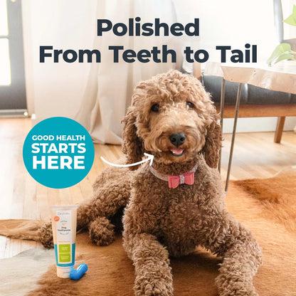 Premium Dog Dental Gel Toothpaste, Best Way to Clean Teeth & Remove Plaque for Dogs, Flavor Free, 4 Oz.