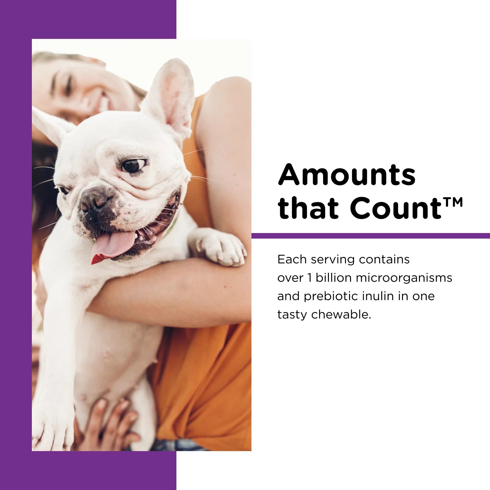 Pre/Probiotic Immune Supporting Soft Chews for Dogs - 120 Ct.