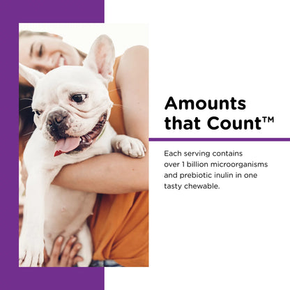 Pre/Probiotic Immune Supporting Soft Chews for Dogs - 120 Ct.