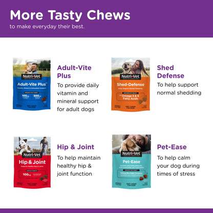 Pre/Probiotic Immune Supporting Soft Chews for Dogs - 120 Ct.