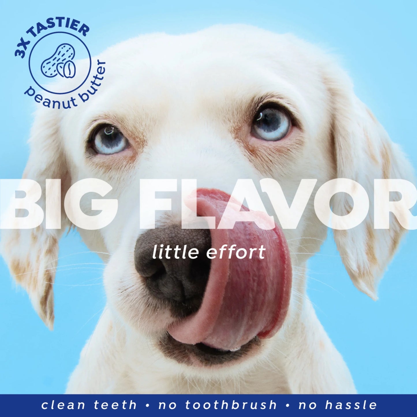 Fresh Dental No Brushing Gel Toothpaste for Dogs & Cats, Plaque Remover Pet Toothpaste, 4 Oz