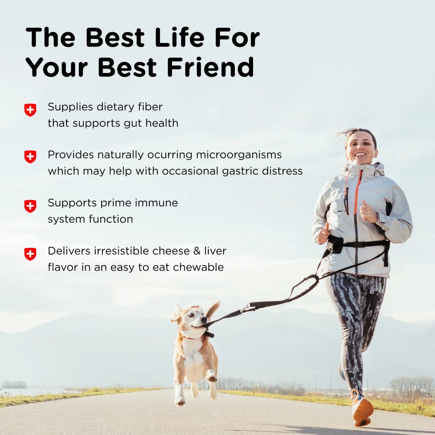 Pre/Probiotic Immune Supporting Soft Chews for Dogs - 120 Ct.