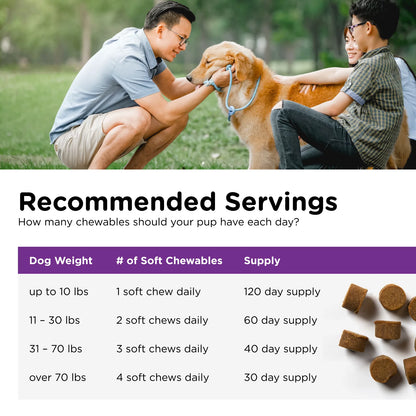 Pre/Probiotic Immune Supporting Soft Chews for Dogs - 120 Ct.