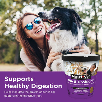 Pre/Probiotic Immune Supporting Soft Chews for Dogs - 120 Ct.